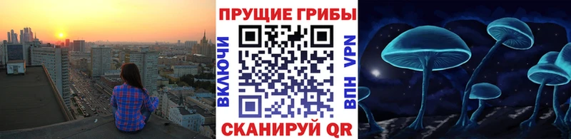 Галлюциногенные грибы GOLDEN TEACHER  Микунь 